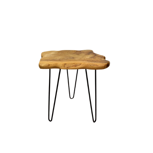 Table Basse Racine Naturelle, Design Organique & Pieds Métal Noir - RADIX