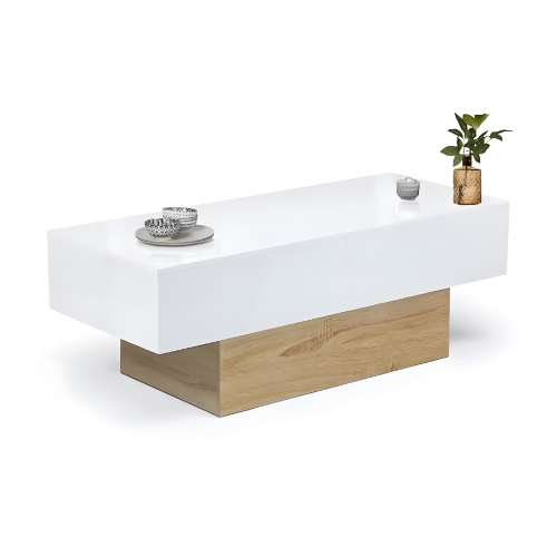 Table basse moderne, Élégance bicolore & espace de rangement intégré - NEVA